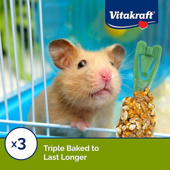 Vitakraft Crunch Sticks Hamster Treat - Hamster Chew Sticks - Supports Dental Health, Long-Lasting Fun (Peanut & Honey) (Pack of 2)