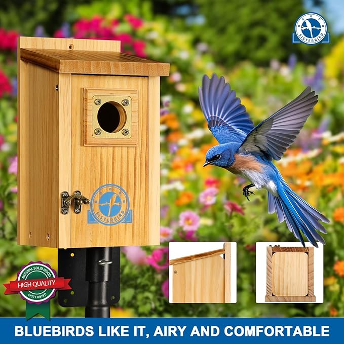 SISTERBIRD Pack of 2 Premium Bluebird Houses for Outside, Assembled Bird House Gift, Garden Decoration Bluebird House, Copper Predator Guard, Easy to Clean Bird Nesting