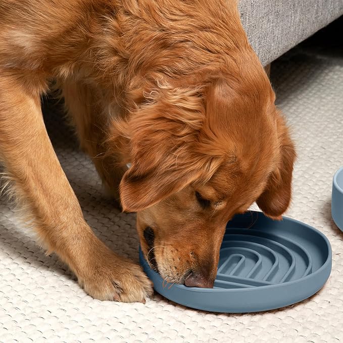 Should We Go? Slow Feeder for Dogs & Puppies, The Slowdown Bowl Silicone Slow Eating, Modern Lick Mat Design, Reduces Gulping, Fits 2.5 Cups, 9.5” Across x 1.5” Tall, Mealtime Challenge, Large-Ocean