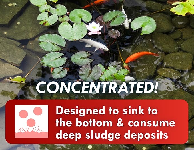 Koiworx Muck Reducer - Treats up to 2,500 gallons for up to 4 Months - Tablets Reduce Muck, Sludge and Organic Build up - Formulated for Ponds and Water Features - Safe for Koi