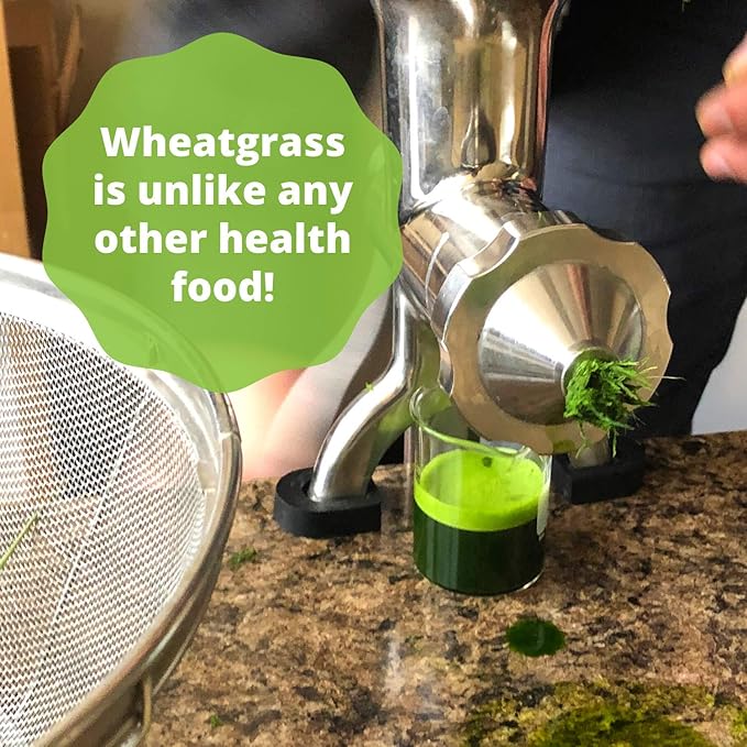 Handy Pantry Wheatgrass Growing Kit - Hydroponic - Certified Organic - Non-GMO - Easy & Fast to Grow Wheat Grass at Home for Wheatgrass Shots & Cat Grass