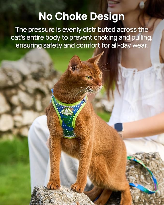 PetThem Upgraded Cat Harness and Leash Set - Step-in Escape Proof Adjustable Cat Harness, Comfortable Soft Lightweight, Reflective Harness for Walking, Travel, Camping (Hawaii Green, XXS)