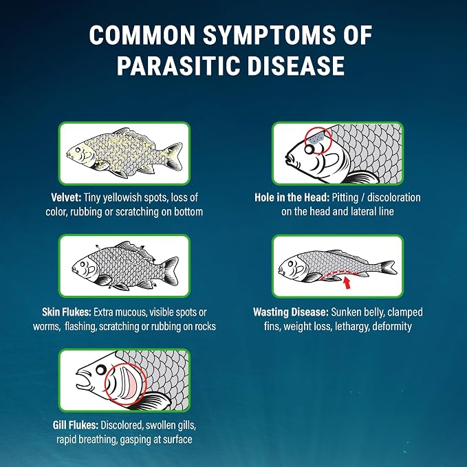 Fritz Aquatics ParaCleanse Provides Fast Relief from Parasitic Diseases (20-Count)