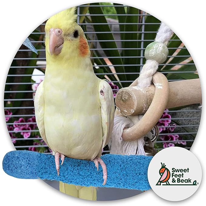 Sweet Feet and Beak Comfort Grip Safety Perch for Bird Cages - Pedicure Perch for Birds to Keep Nails and Beaks in Top Condition - Safe Easy to Install Bird Cage Accessories Small 6.5" - Blue