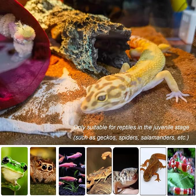 Tfwadmx Reptile Hide Cave Small Resin Aquarium Deoration Cave Hollow Tree Trunk Log Fish Tank Ornament Hideout for Small Reptile Gecko Tarantula Fish Shrimp7.3 * 2.7 * 2.7IN