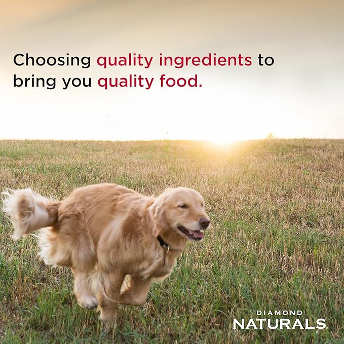 Diamond Naturals Small Breed Lamb and Rice Formula Adult Dry Dog Food with Quality Lean Protein from Real Lamb, Specially for Small Breed Dogs 6lb