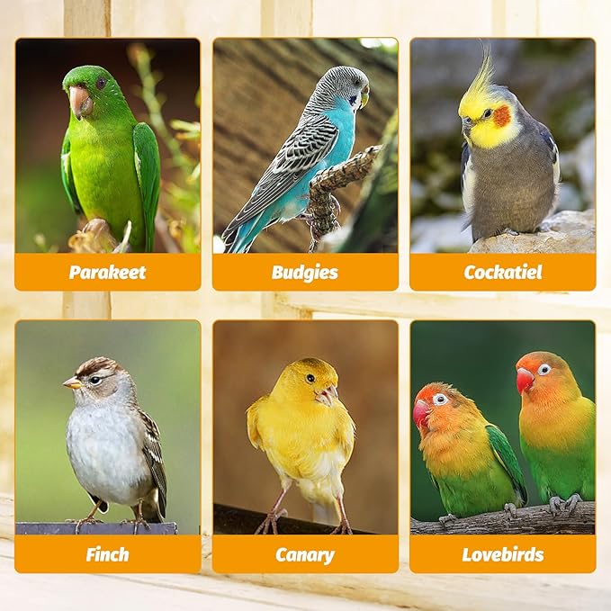BNOSDM No Mess Bird Feeder Transparent Automatic Bird Cage Feeder with Perch Acrylic Parrot Food Container Parakeet Cage Accessories for Parakeets, Budgies, Cockatiel, Finch, Canary, Lovebird (Yellow)