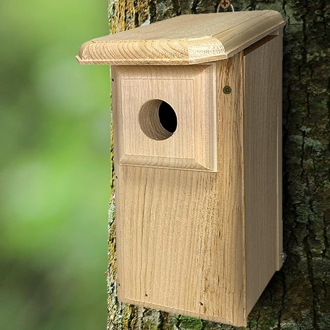 Eastern Bluebird House – Handcrafted in Maine from 1" Pine | Predator Guard Nest Box with Ventilation & Drainage | Easy Clean Side Panel | Insulated Wooden Birdhouse for Backyard Birding, USA Made