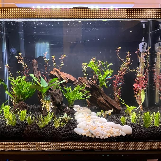 3 Pcs Natural Honeycomb Wood 8-12", Porous Aquarium Driftwood, Cholla Wood Shrimp Shelter Breeding Cave, Shrimp Dragon Wood for Fish Tank, Aquascaping, Reptile, Terrarium Decor