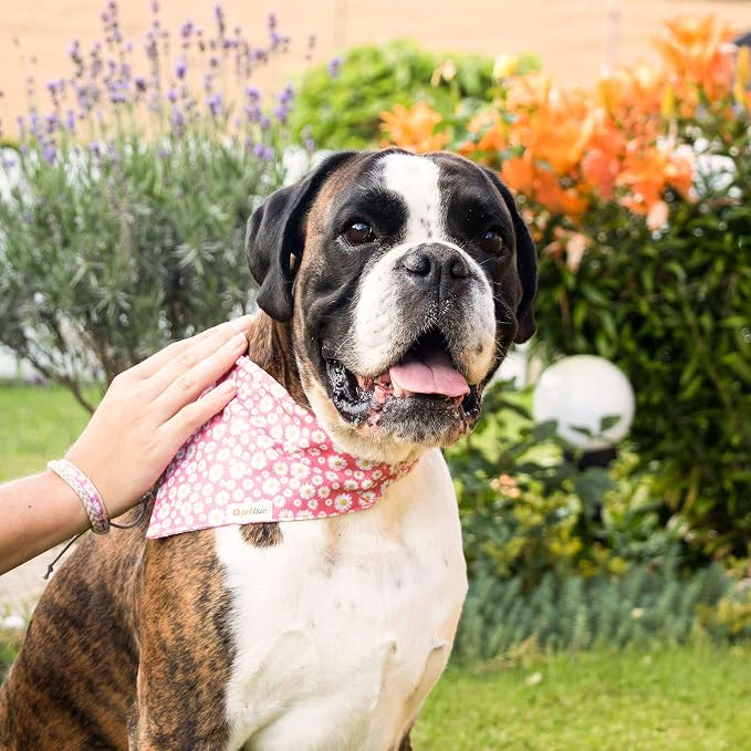 Pettsie Hemp Dog Bandana Collar & Matching Owner Friendship Bracelet | Adjustable, Durable Hemp, Soft & Comfortable, Secure D-Ring, Matching Friendship Bracelet, Pink