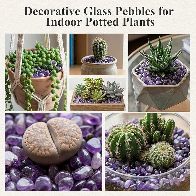 JOHOUSE 1 LB Amethyst Chips, Quartz Crystals, Polished Stone Vase Filler | Irregular Shaped Succulent Rocks for Plants Indoor, Betta Fish Tank Gravel, Table Scatter and DIY Crafts