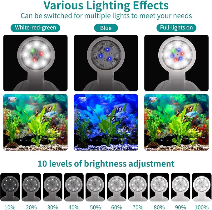 Desktop Fish Tank 3 Gallon Self-Cleaning, Nano Aquarium Goldfish Tank Starter Kit with LED Light & Filter, 360 View for Small Fish, Kids Room & Home Decor (17Color)