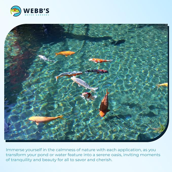 Webb's Water Garden All Season Beneficial Bacteria for Ponds, Enhances Water Clarity and Reduces Odors, Safe for Fish and Plants - 32 Fluid Oz
