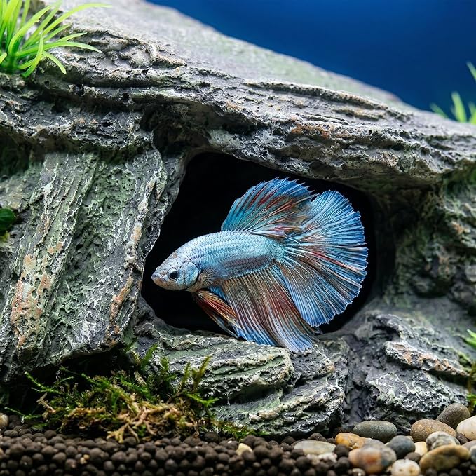 Aquarium Cave & Betta Hideout - Natural Resin Fish Tank Decorations, Small Fish Tank Decor, Hand-Polished Smooth Edges, PH Neutral Stone Decor for Shrimp, Cichlid, and Reptiles (Small)