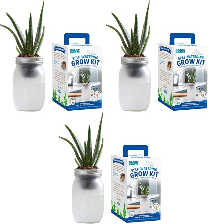 Back to the Roots Self Watering Grow Kit - Glass Hydroponic Planters for Succulents and Cacti Self-Watering System (Pack of 3)