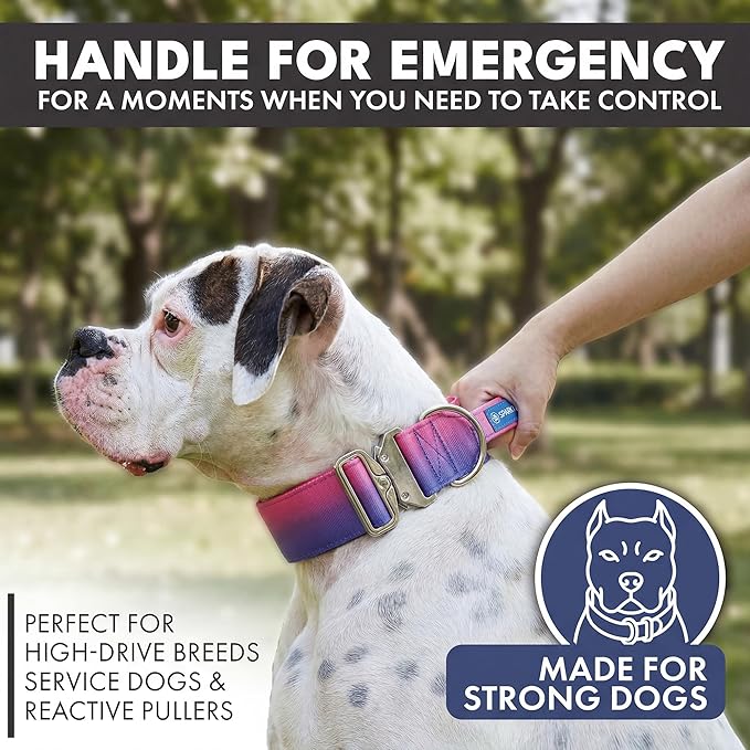 Spark Paws Tactical Dog Collar with Handle - Premium Quality Collar, Robust and Durable Design for Large, Strong Breeds - Pitbulls, Labradors, GSD - Snow Cone - S - 1.5"