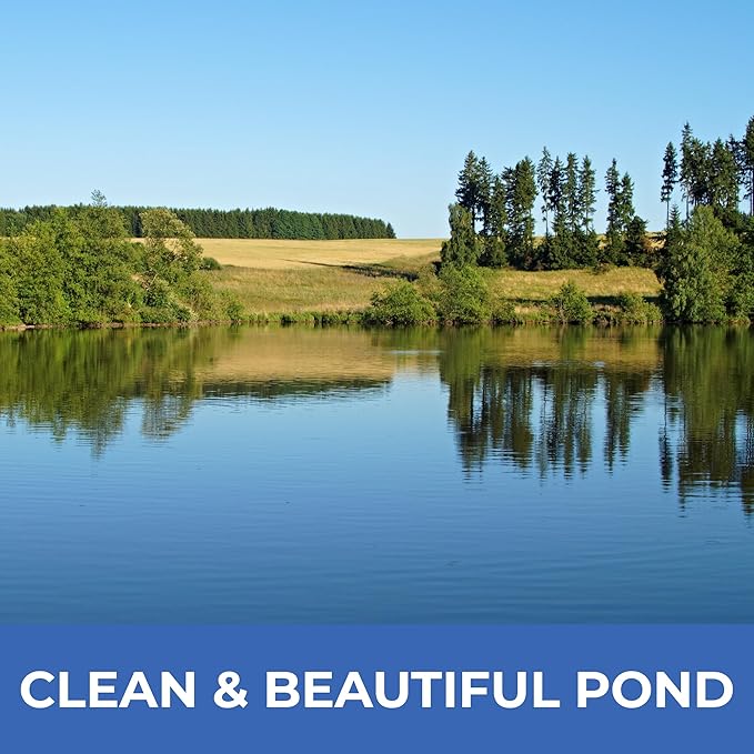 PondValue Ultimate Pond Bacteria, Outdoor Pond & Lake Natural Beneficial Bacteria Treatment, Aquatic Odor Reducer & Sludge Digester, Fish, Plant, & Livestock Safe, Easy Dosing Liquid, 1 Gallon Bottle