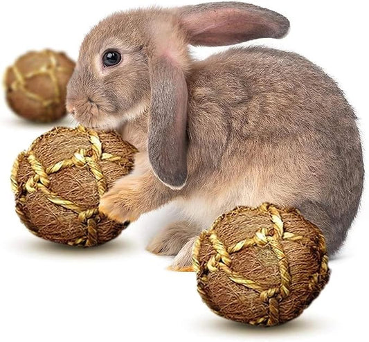 SunGrow Guinea Pig Coconut Fiber Balls, Improves Oral Wellness, Environment Friendly, Stress Reliever, Ideal for Chew Item for Rabbits, Chinchilla & Kitten (3 Pieces)
