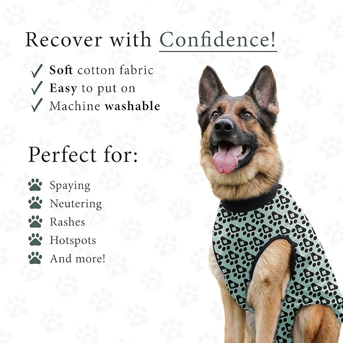 BellyGuard Dog Surgery Recovery Suit, Dog Onesie for Post-Op Care, Recovery Apparel for Female and Male, Surgical Body Cover for Canine Healing Support