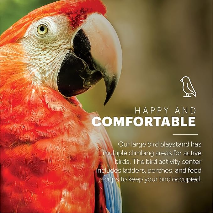 Prevue Pet Products Parrot Play Stand with Wheels - Rolling Bird Stand Play Center with Perches and Ladders, Indoor & Outdoor Playground for Birds with Swing, Enrichment Accessories - Black