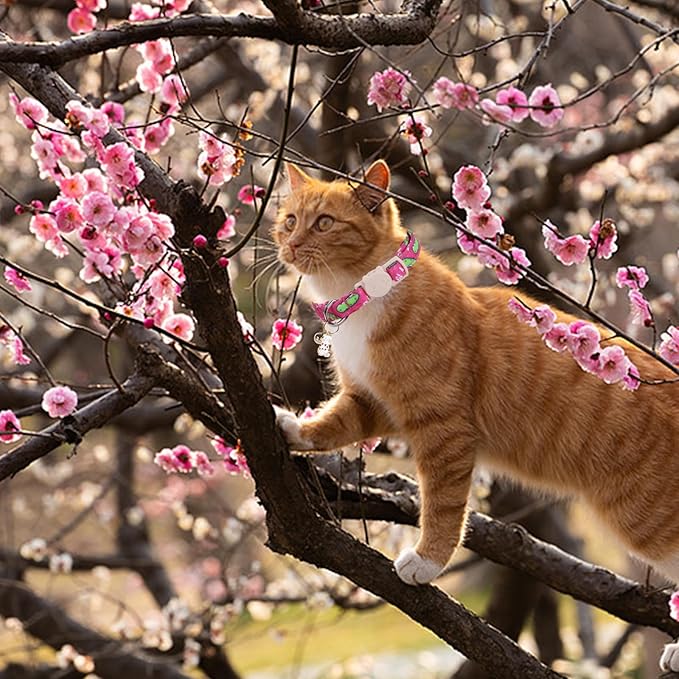 Elegant little tail 2 Pack Cat Collar-Spring Print Cotton Breakaway Cat Collars with Bell Pendant Kitten Boy Girl Safety Adjustable Collar for Small Cats Puppy