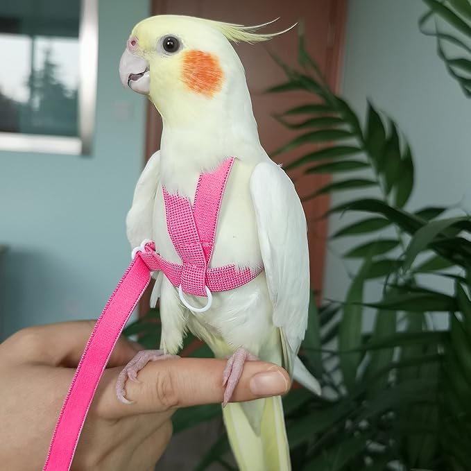 VANFAVORI Adjustable Bird Harness with 80 Inch Leash, Outdoor Flying Kit Training Rope for Bird Parrots Cockatiel S Size Weight 70-120 Grams,Magenta