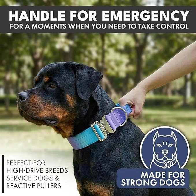 Spark Paws Tactical Dog Collar - Heavy Duty, Premium Quality, Thick and Durable for Large and Medium Dogs - 90s Retro - M - 1.5"
