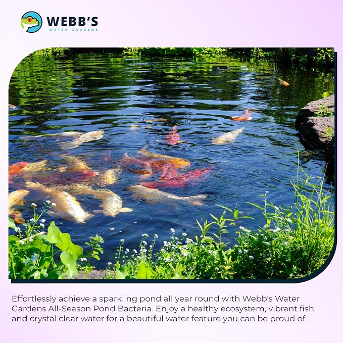 Webb's Water Gardens Pond Maintenance Packets with Barley - Natural Pond Care for Large Ponds & Lakes - Safe for Koi & Fish - 20 Packets - Treats 1/4 Acre for 2.5 Months