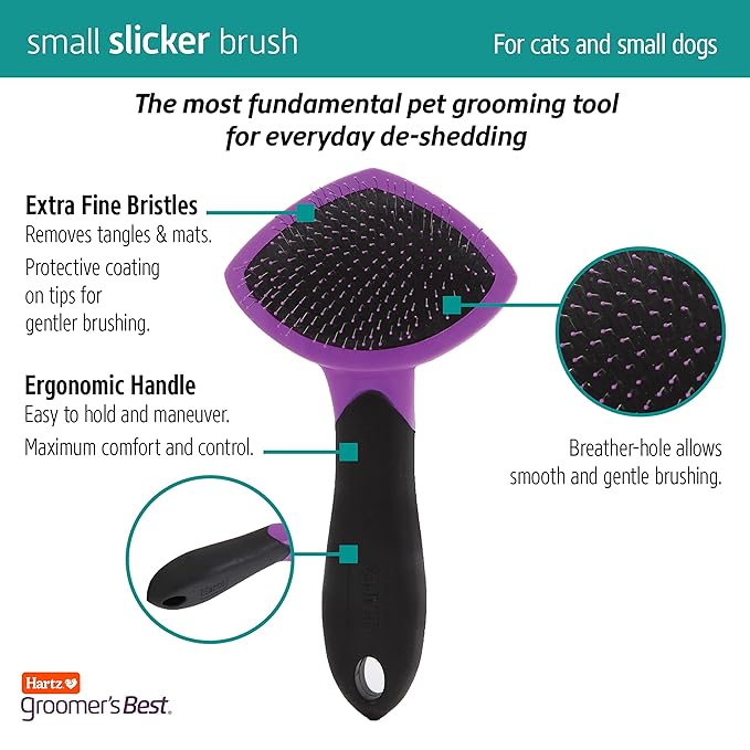 Hartz Groomer's Best Small Slicker Brush for Cats and Small Dogs, Black/Violet, 1 Count (Pack of 3)
