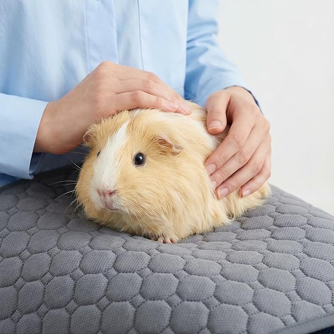 Guinea Pig Cage Liners, 49"X24" Washable Guinea Pig Bedding for Midwest Cage 4 Pack, Reusable & Anti Slip & Waterproof, Absorbent Guinea Pig Pee Pad for Small Animal, Rabbit, Bunny, Chinchilla