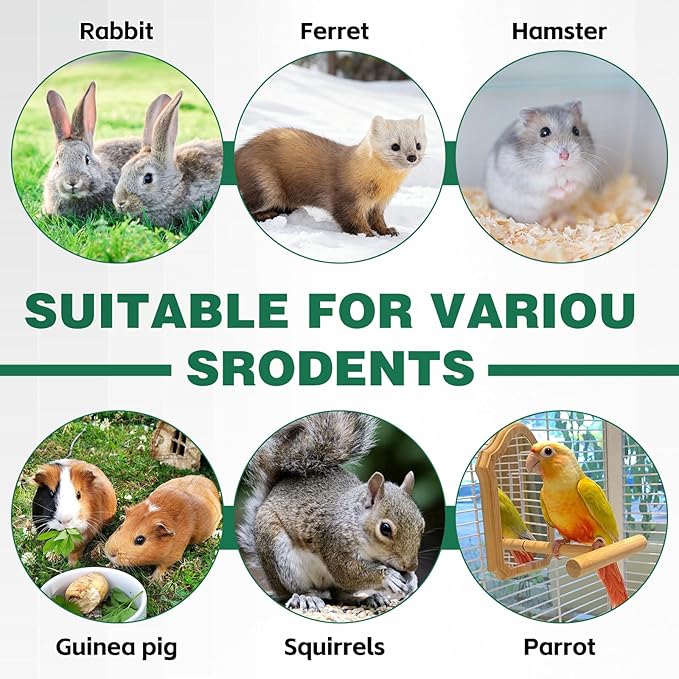 Salcod Rabbit Water Bottle, No Drip Bunny Water Dispenser for Rabbits, Hamster, Guinea Pigs, Ferrets, Birds, Mouse, Rats, Other Small Animal Pet No Leak Easy Mount Drinker,42 oz