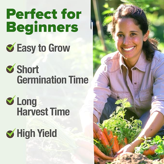 HOME GROWN Tendersweet Carrots Seeds 6000+ Heirloom Non-GMO Seeds for Planting, High Germination,Sweetest Coreless Root Vegetable,Crunchy Summer Garden,Great for Canning (Daucus carota subsp. sativus)