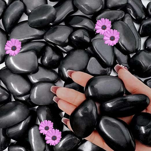 3lb Black River Rocks for Plants Indoor, 1-2Inch Pebbles for Vases Fillers, Decorative Gravel for Fish Tank, Natural Polished Stones for Succulent, Bonsai, Landscaping, Bird Baths