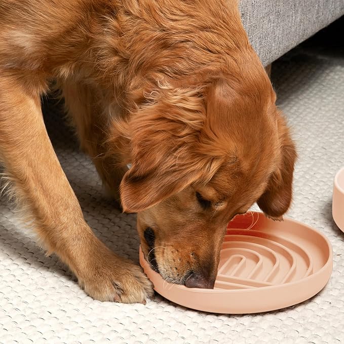 Should We Go? Slow Feeder for Dogs & Puppies, The Slowdown Bowl Silicone Slow Eating, Modern Lick Mat Design, Reduces Gulping, Fits 2.5 Cups, 9.5” Across x 1.5” Tall, Mealtime Challenge, Large-Blush