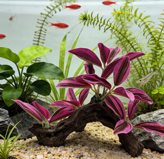 M2cbridge Fish Tank Plastic Soft Grass Artificial Betta Water Plants Purple | zero maintenance, soft without scratching, healthy underwater home