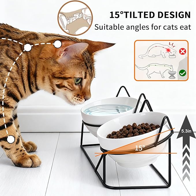 Elevated Cat Food Bowl,Ceramic Raised Water Bowl for Indoor Cats, 15°Tilted Metal Stand Anti Vomiting and Protect Spines,Whisker Fatigue Feeding Dishes,Non-slip and Dishwasher Safe