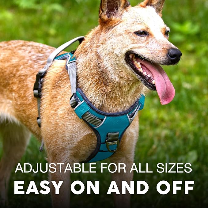 Embark Adventure No-Pull Large Dog Harness – Reflective Trim, Military-Grade Nylon, Front Clip with Gel-Lined Handle