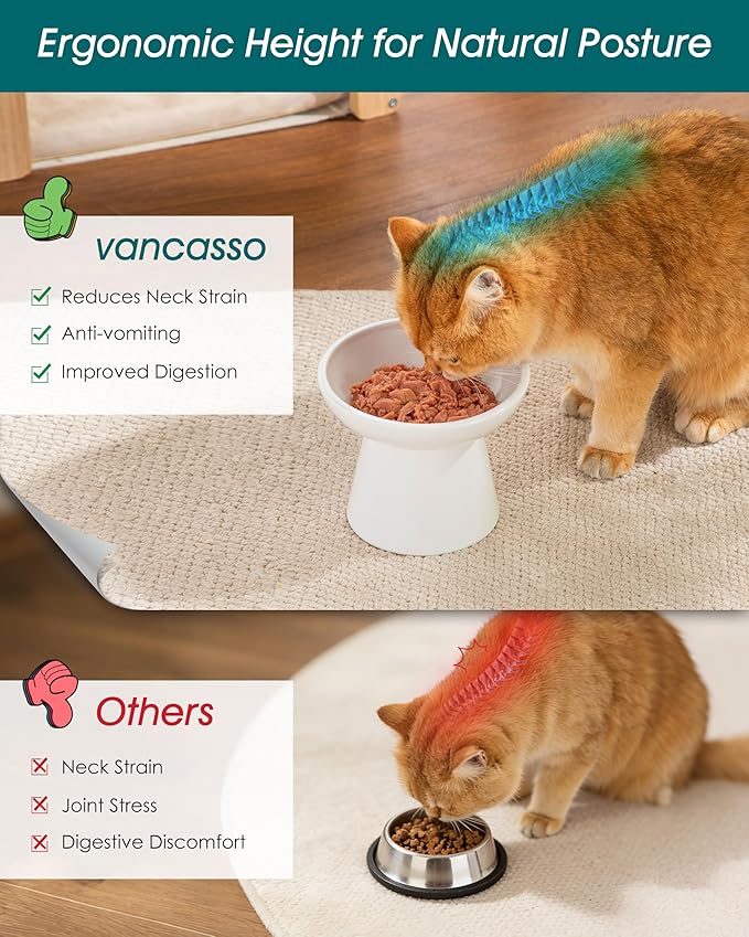 vancasso Elevated Cat Food Bowls 2-Pack, 6.2" Wide Shallow Cat Feeding Bowl for Whisker Fatigue, 5.1" Height Ceramic Raised Food Bowls for Senior Cats, Anti Vomit, White