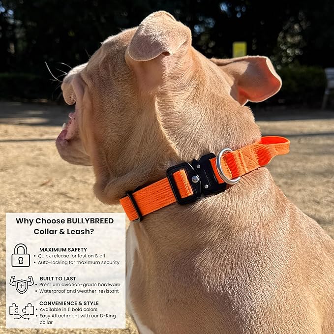 Tactical Dog Collar for Puppy, Heavy Duty Puppy Collar, Dog Collar for Small Dogs, Waterproof Dog Collar, Dog Training Collar, Quick-Release Metal Buckle, Adjustable Sizes – BULLYBREED (Orange, Small)
