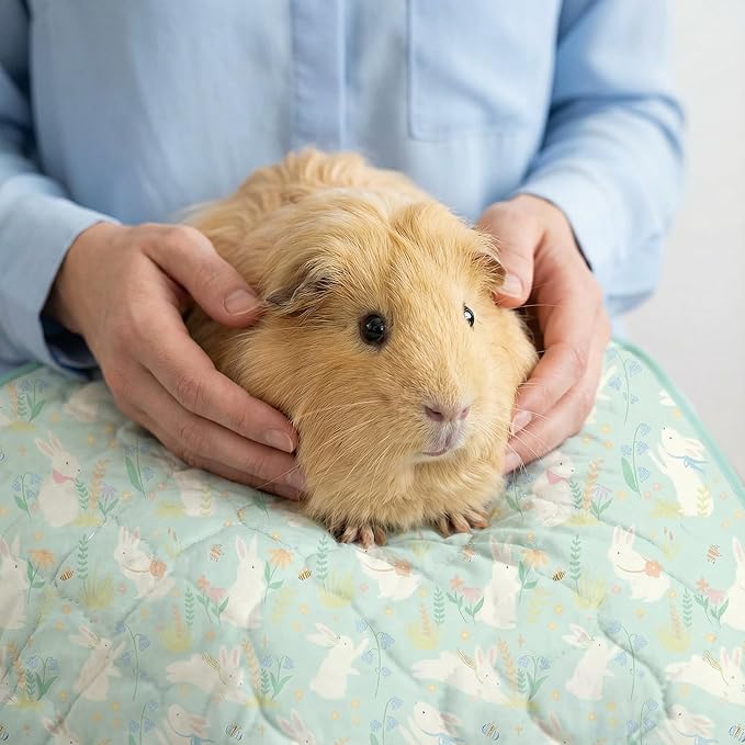 Guinea Pig Bedding, Guinea Pig Fleece Cage Liner 49x24 2Pack, Washable Waterproof Reusable & Anti Slip, Absorbent Guinea Pig Pee Pad for Small Animal, Rabbit, Bunny, Chinchilla, Green