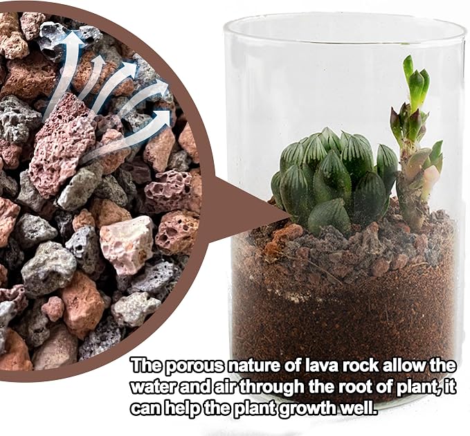3lb Lava Rocks for Plants - Horticultural Volcanic Gravel for Drainage in Succulents, Bonsai, Terrariums and Landscaping