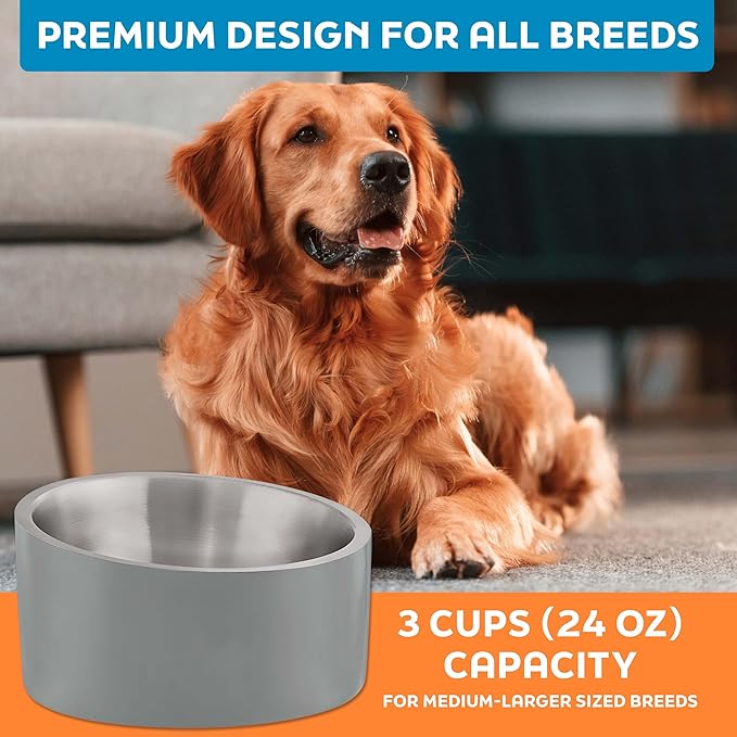 Master Pet Supply Stainless Steel Slanted Dog Cat Food Bowl - 24 oz Heavy Duty - Graphite, Double Wall Insulated, Non-Slip Elevated Bowl for French Bulldogs Pugs Cats, Anti Rust Dishwasher Safe