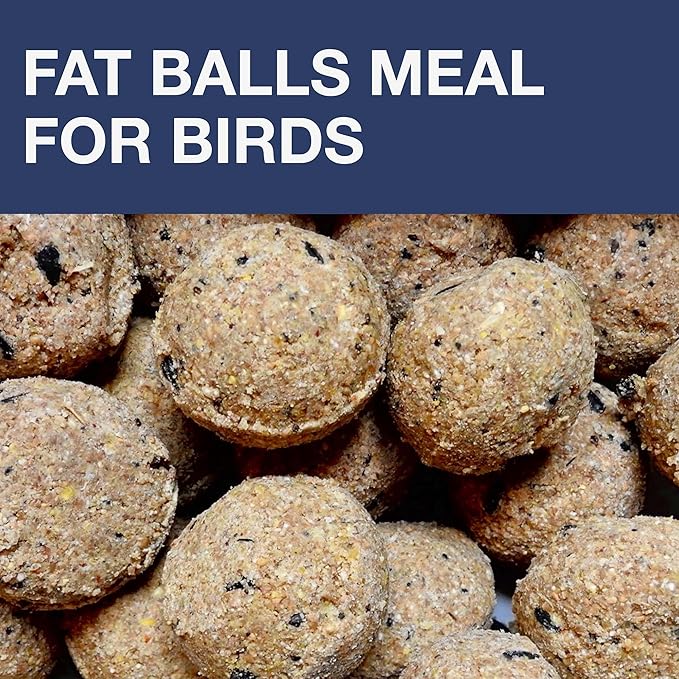 SWISSINNO Bird Feeders - No Mess Fat Ball/Suet Feeder for Outdoors Hanging - Smart Birds Lucerne Spill Proof Wild Cardinal Bird Feeder with Integrated Seed Catcher Tray - Indigo