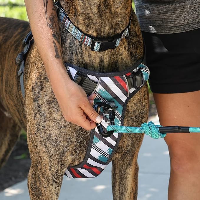 Embark Adventure Small Dog Harness – No-Pull, Reflective Trim, Military-Grade Nylon, Front Clip with Gel-Lined Handle