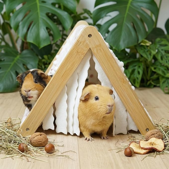 Guinea Pig Hideout, Sturdy Bamboo Small Animal House with Window, Rabbit Bunny Tunnel, Easy to Assemble for Hamsters Bunny Rat Chinchillas Playing Hiding, Guinea Pig Cage Accessories, Green