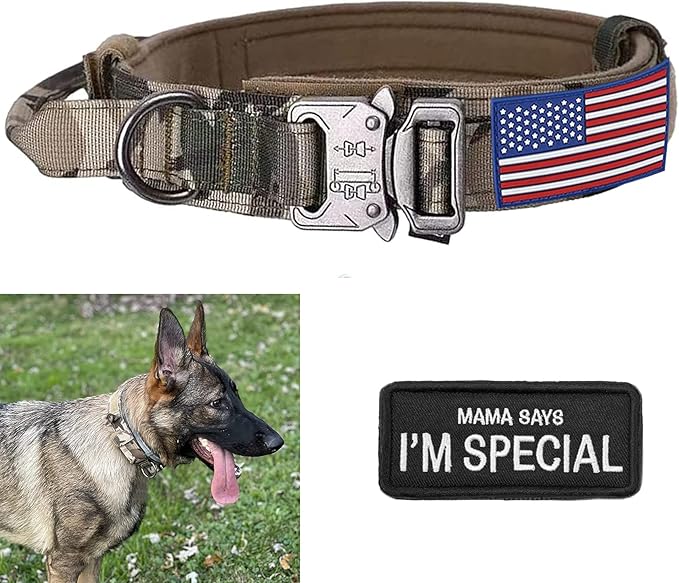 Large Tactical K9 Military Dog Collar - Heavy Duty with Handle, Camo for German Shepherd (Medium, Gray Camo)