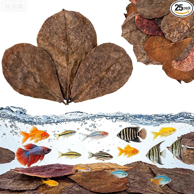 LeonBach 25 Pcs Indian Almond Leaves for Aquariums, 5-8 Inches | Large Catappa Leaves for Betta Fish, Creates Native Environment, Fish Shrimp Tank Decorations, Water Conditioner