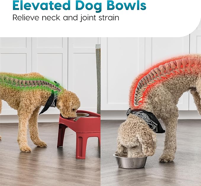 IRIS USA Elevated Dog Bowls Adjustable Stand, Raised Feeding Station with 2 Stainless Steel 64 oz Bowls, Spill Guard, Dual Height 12.25" or 4.63", Made in USA, Red