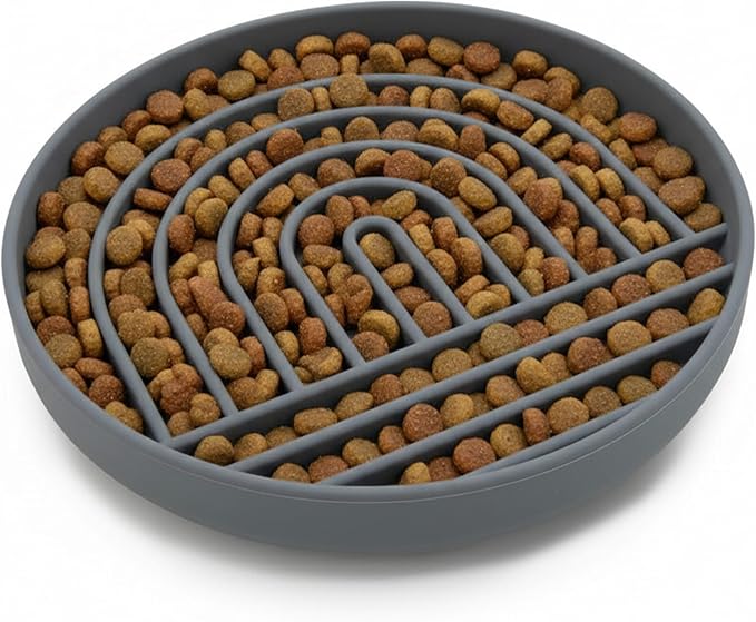 Should We Go? Slow Feeder for Dogs & Puppies, The Slowdown Bowl Silicone Slow Eating, Modern Lick Mat Design, Reduces Gulping, Fits 2.5 Cups 9.5” Across x 1.5” Tall, Mealtime Challenge, Large-Charcoal