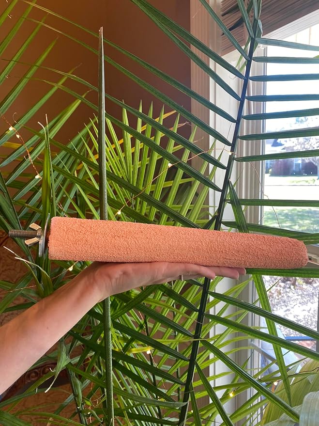 Polly's Pastels Nail Trimming & Beak Conditioning Safety Perch for Cockatiels, Cockatoos, Macaws, Parakeets, Budgies, Parrots and All Other Birds (Coral, Large Long-1 1/2" Dia. x 14" Long)